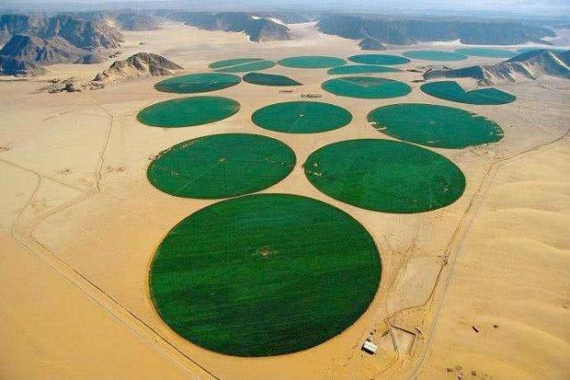以色列节水农业创造了沙漠奇迹有哪些做法