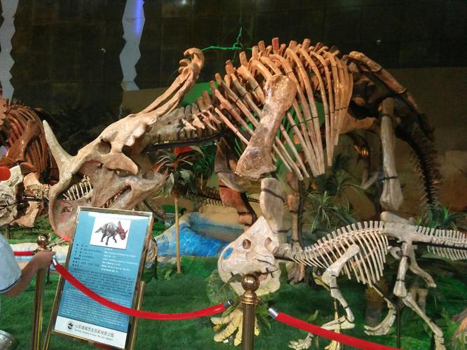 杭州恐龙博物馆在什么地方