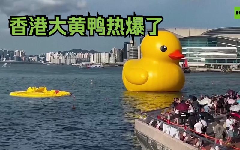 香港大黄鸭是谁做的