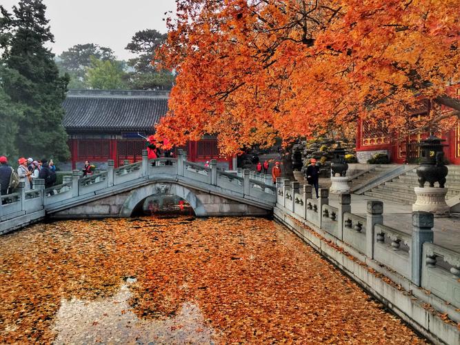 秋天的香山公园有着独特的美