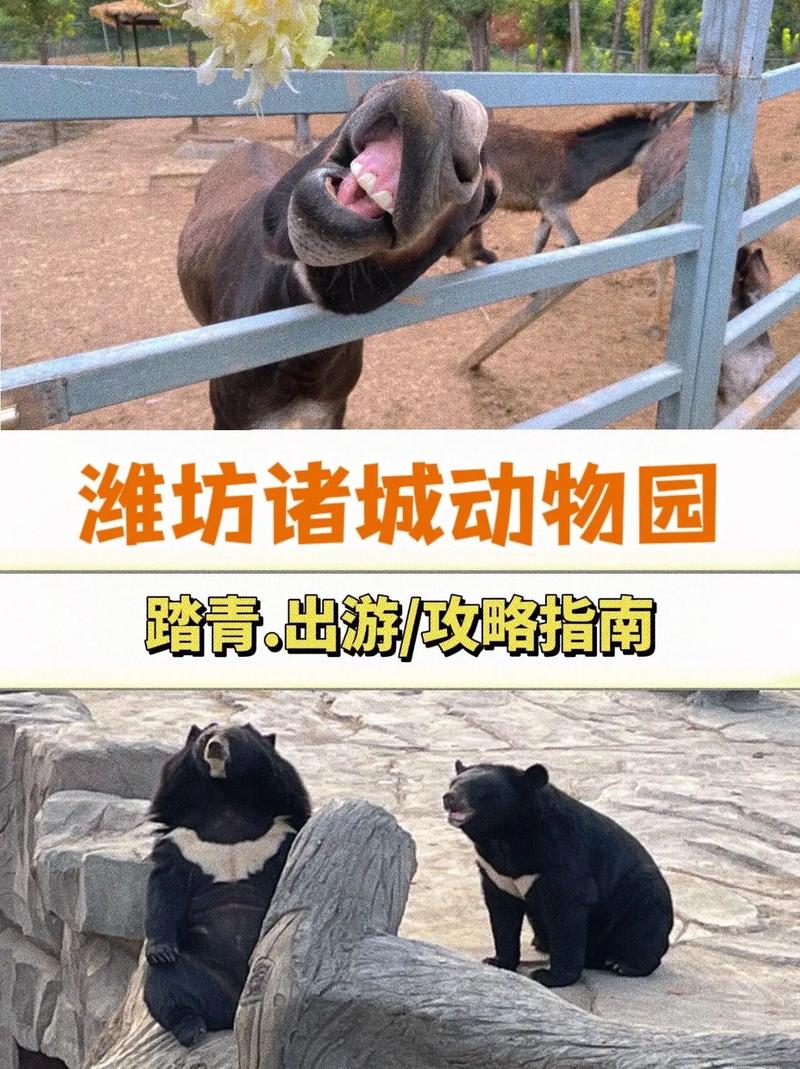 潍坊动物园推荐排行