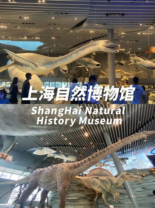 上海自然博物馆网上怎么预定剧场