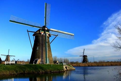 荷兰为什么那么多风车