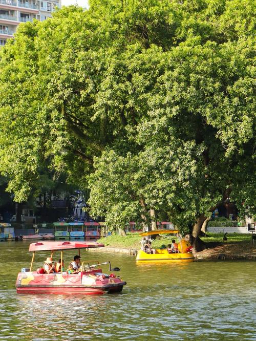 荔枝公园可以划船吗