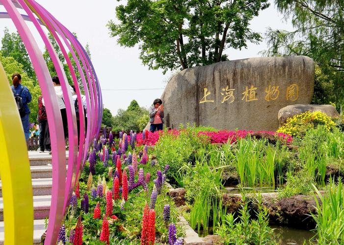 上海植物园有哪些特色