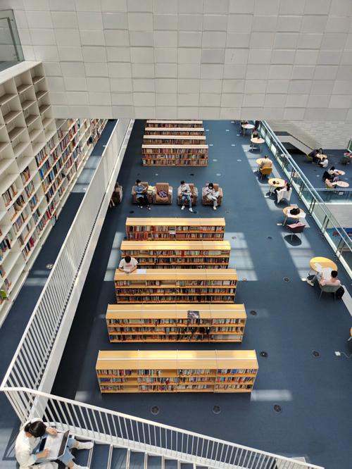 天津图书馆十一期间开放吗