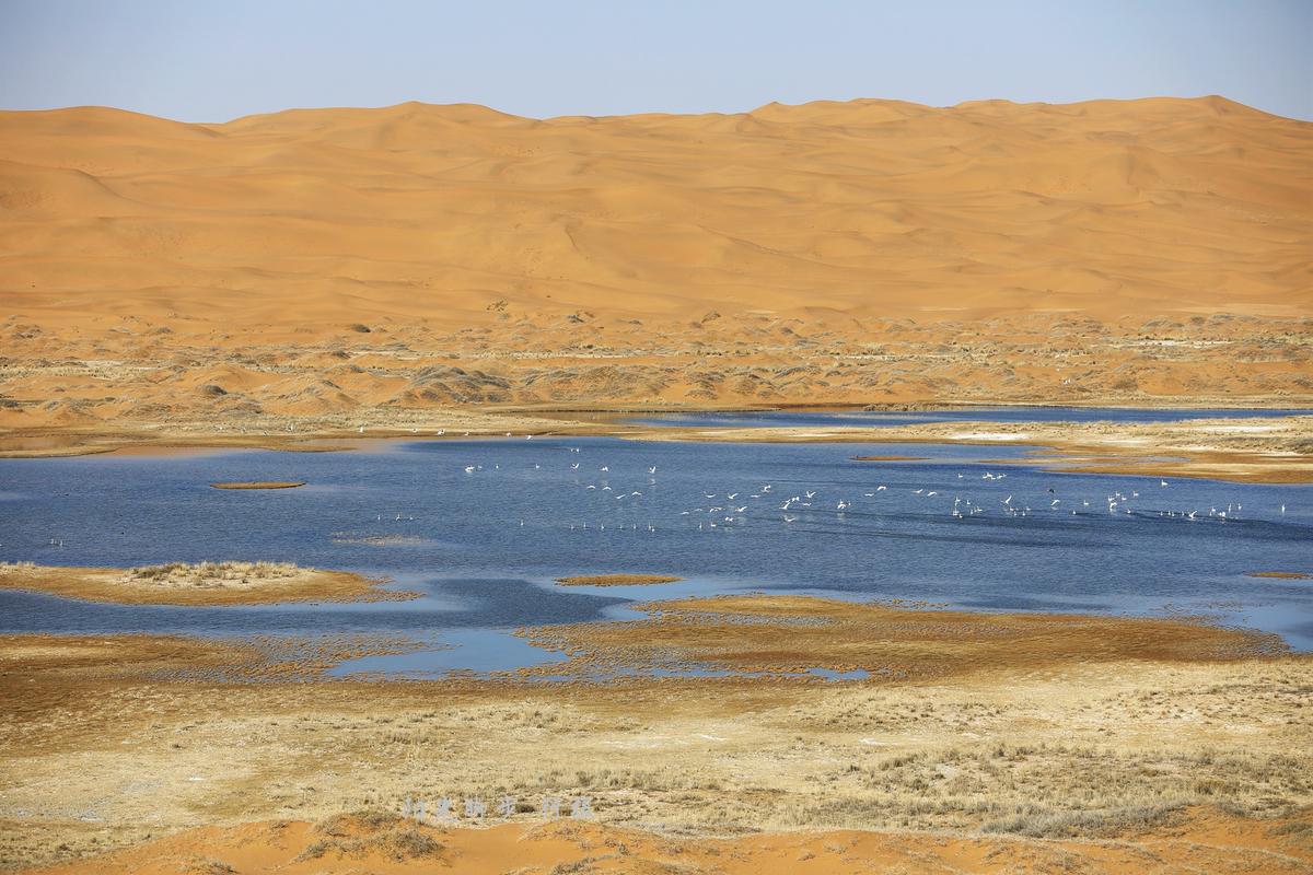 沙漠中的湖泊能下水吗