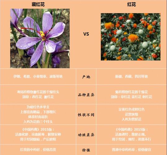 曼珠沙华和藏红花有什么区别