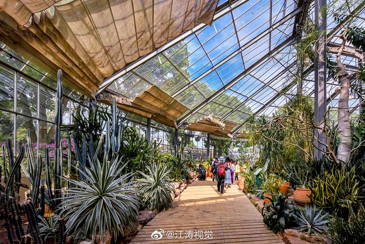武汉植物园是室内还是室外
