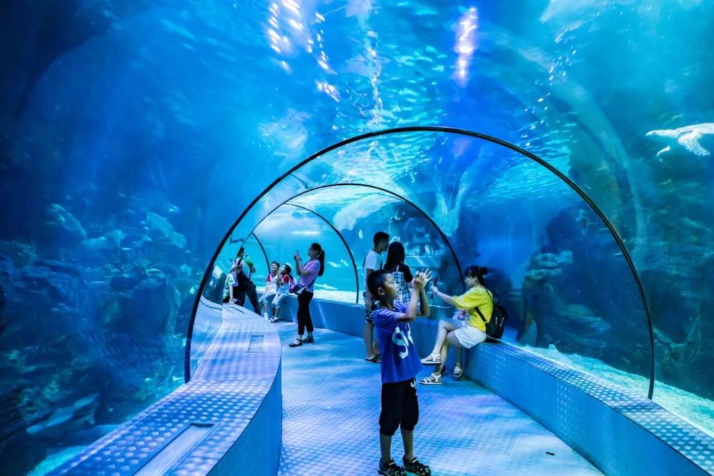 上海动物园和长风海洋公园怎么玩