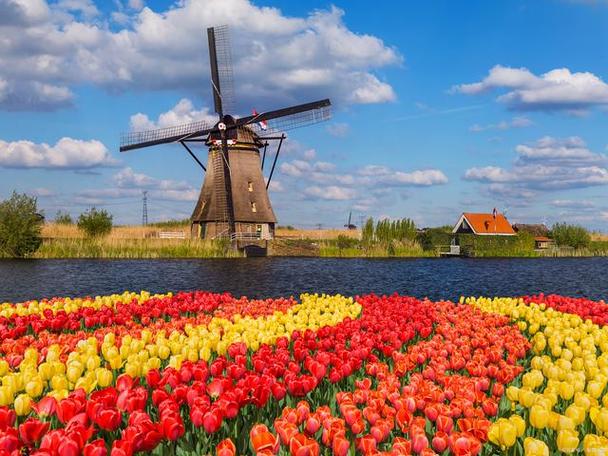 荷兰最好玩的景点有哪些