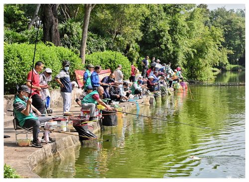 红树林深圳湾公园可以钓鱼吗