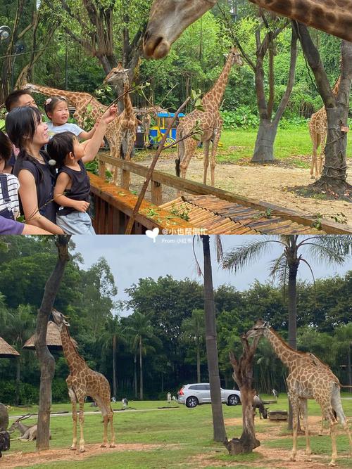 广州动物园人多吗