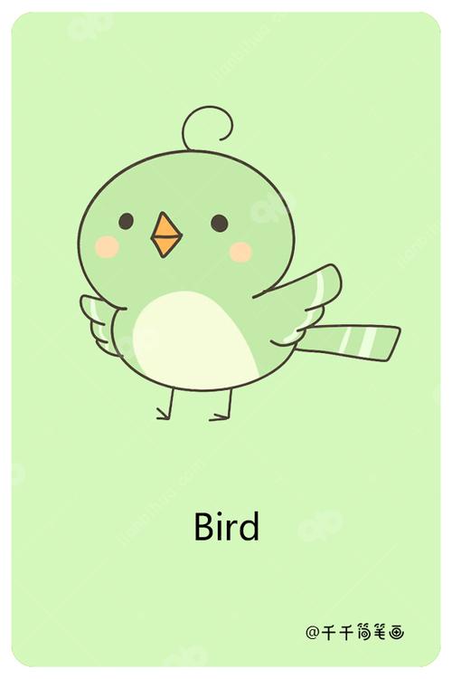 小鸟用英语怎么说bird