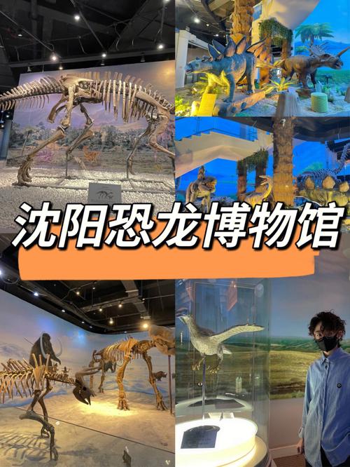 沈阳古生物博物馆2023年开放时间