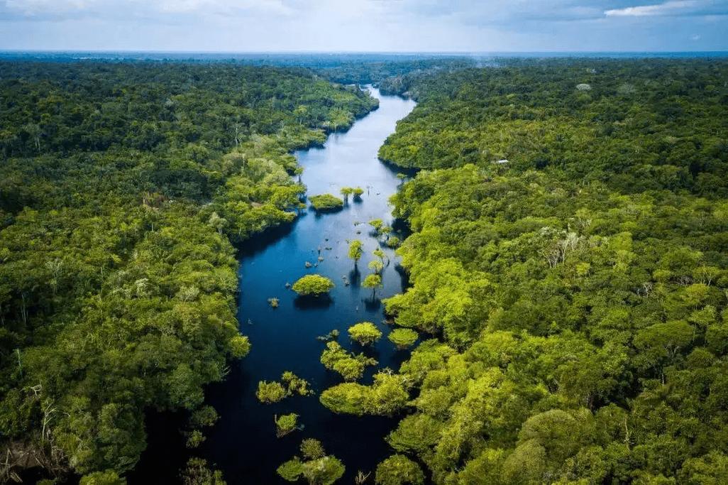 亚马逊热带雨林面积