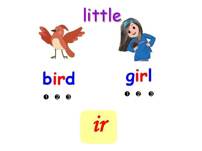 bird的发音与girl发音是否一样