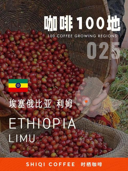 埃塞俄比亚咖啡粉怎么喝