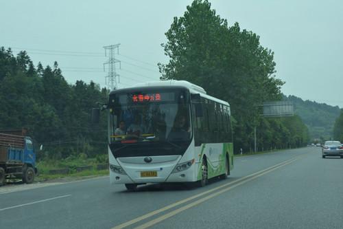 宜春市有到河南的大巴客车吗