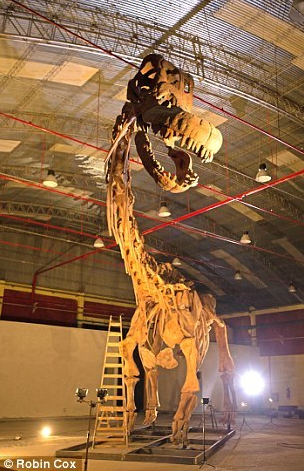 世界最大的恐龙化石多大