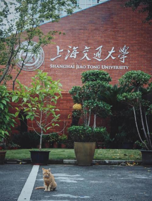 上海交通大学徐汇校区预约攻略