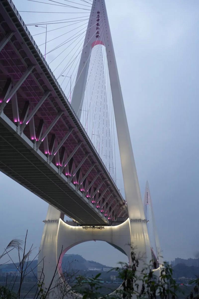 重庆长江大桥排名