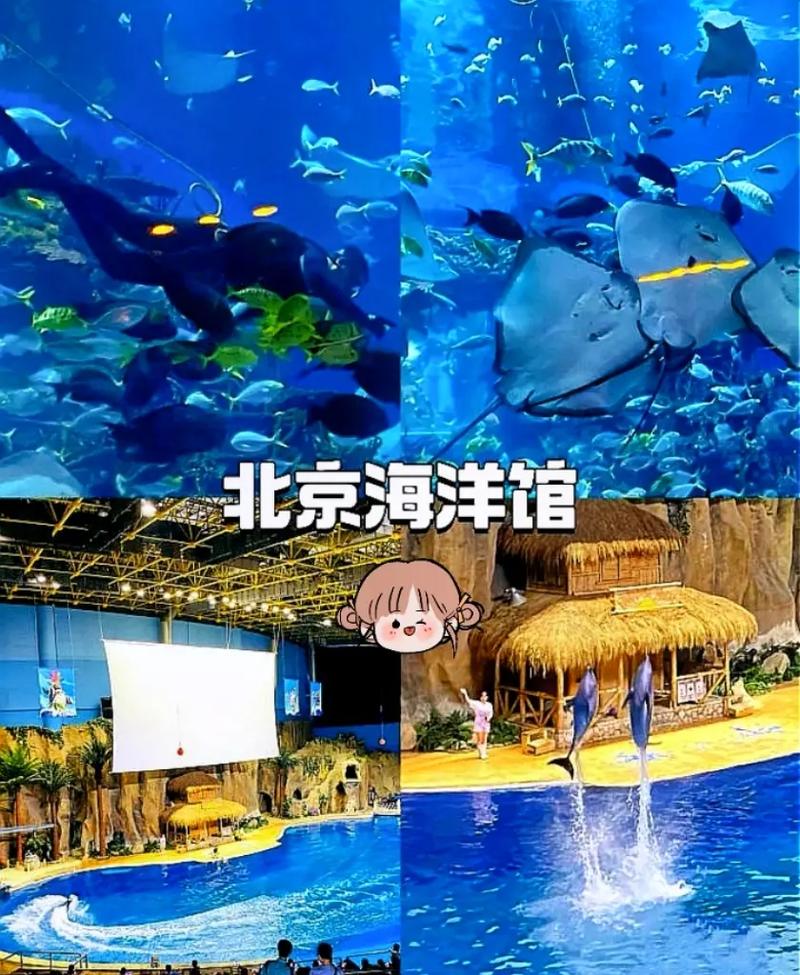 北京有几个海洋馆