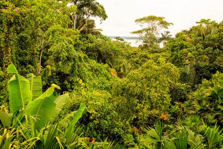 亚马逊热带雨林几月份去合适