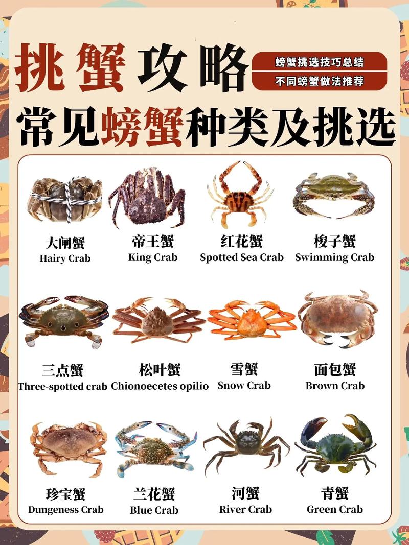 教你挑选螃蟹的8个技巧