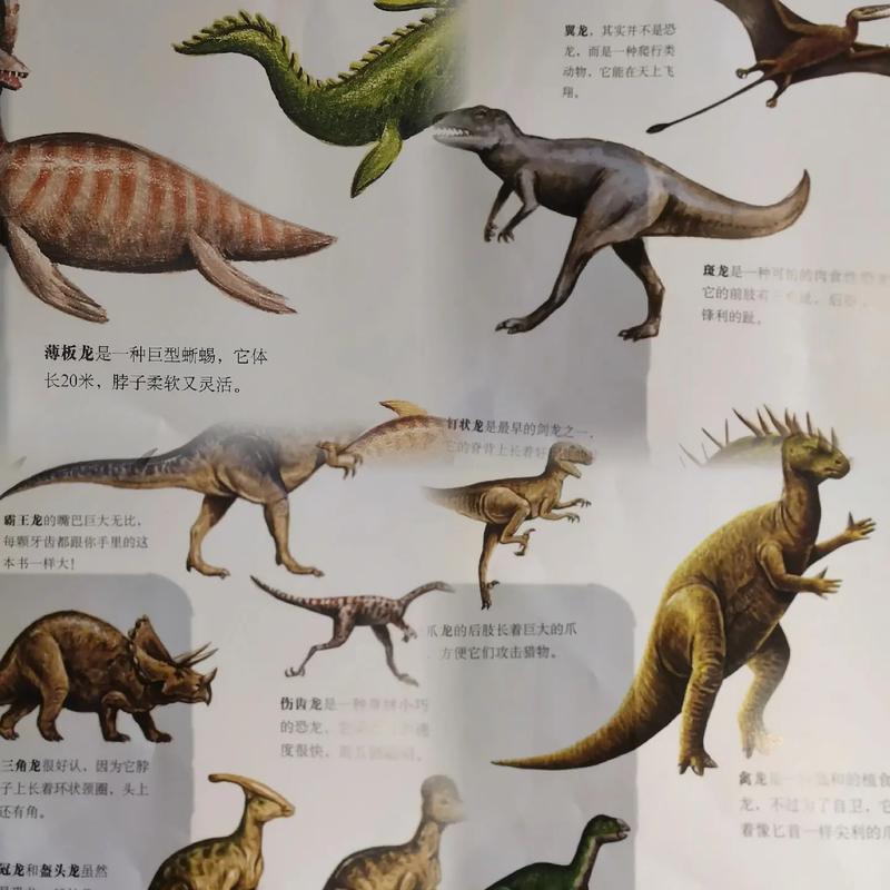 恐龙世界是怎么来的