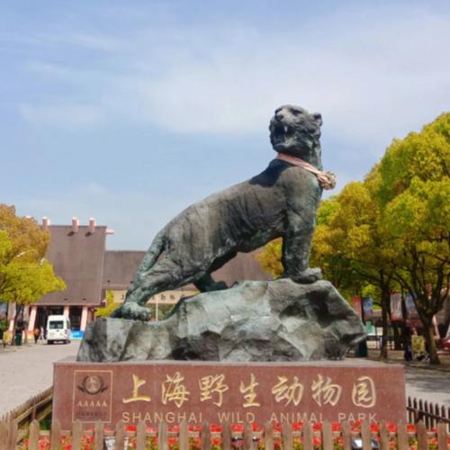 上海野生动物园熊猫馆开放时间