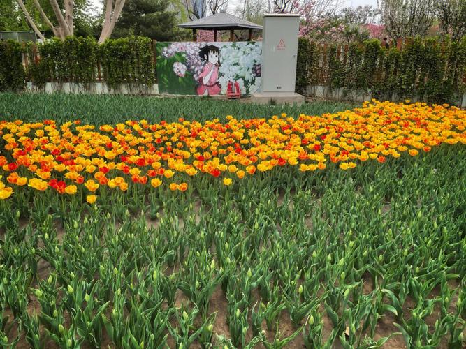北京花卉大观园2022年3月份营业吗